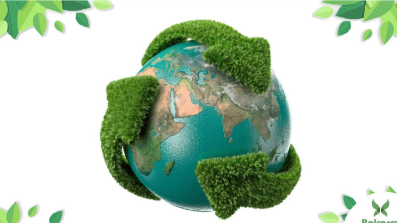 SE EVOCA EN LA FECHA EL “DÍA DEL RECICLAJE”