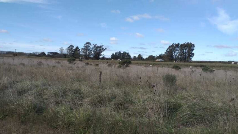 EL MUNICIPIO ABRE LA INSCRIPCIÓN PARA ANOTARSE AL SORTEO DE VENTA DE LOTES