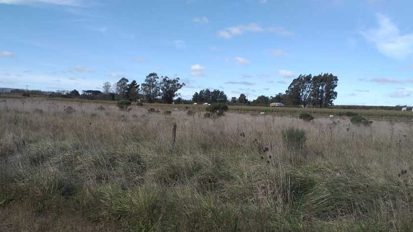 EL MUNICIPIO ABRE LA INSCRIPCIÓN PARA ANOTARSE AL SORTEO DE VENTA DE LOTES