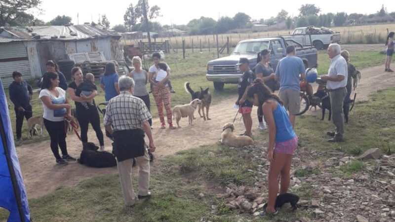 CASTRACIONES: SE REALIZAN EN CALLES 38 Y 9