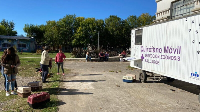 LA PRÓXIMA SEMANA CONTINÚAN LAS CASTRACIONES Y SE AGREGA VACUNACIÓN ANTIRRÁBICA