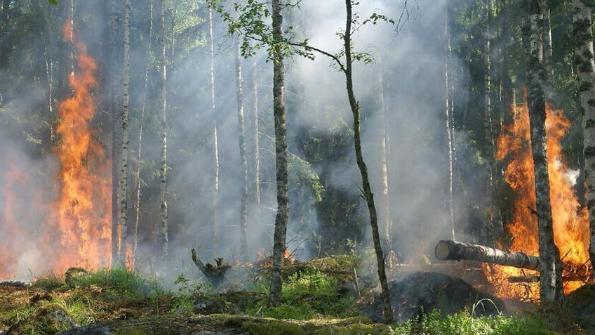 JORNADA DE PREVENCIÓN DE INCENDIOS FORESTALES
