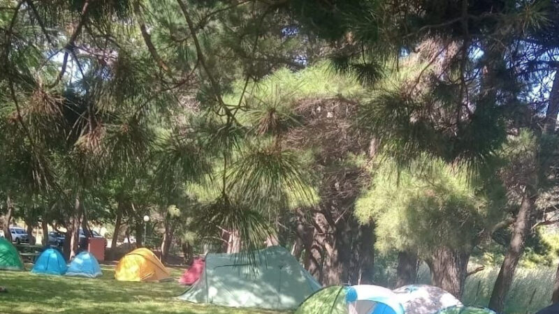 Campamento de verano en la colonia