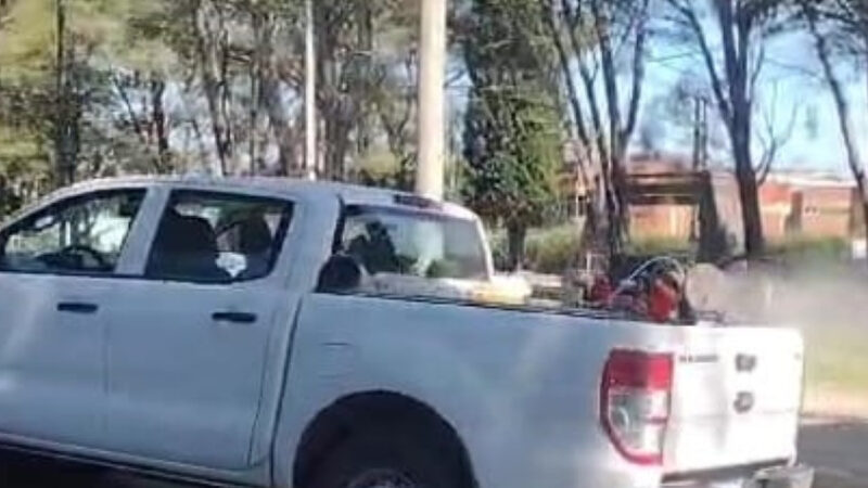 Fumigación contra mosquitos