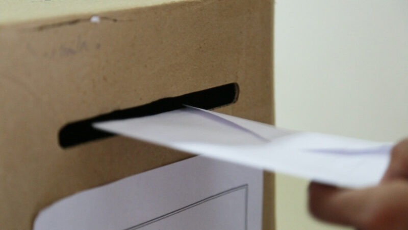 El domingo consulta popular para elección de Delegados Municipales