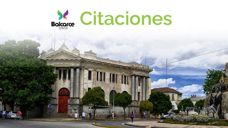 Citaciones