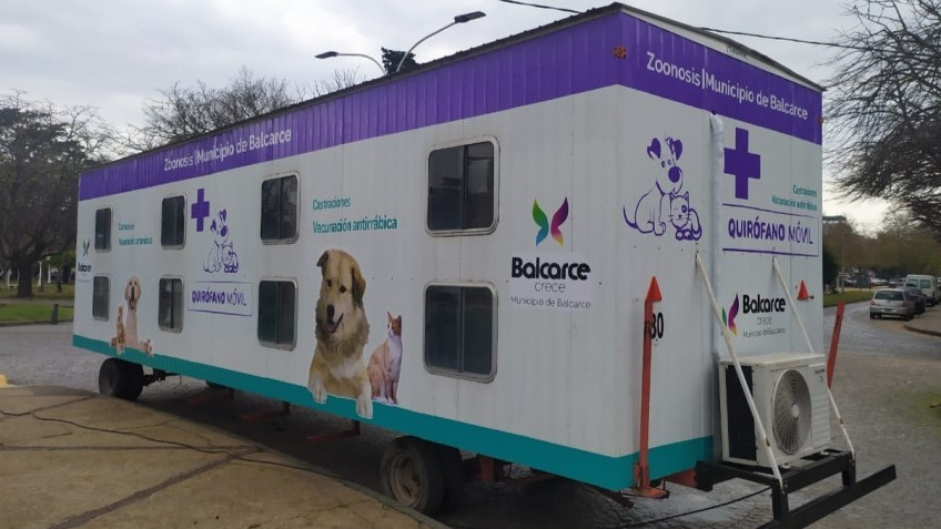 Quirófano móvil de zoonosis suma días en Av. Caseros y 11
