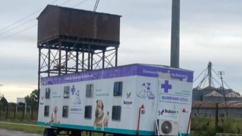 Quirófano de zoonosis funciona en Av. Caseros y 11