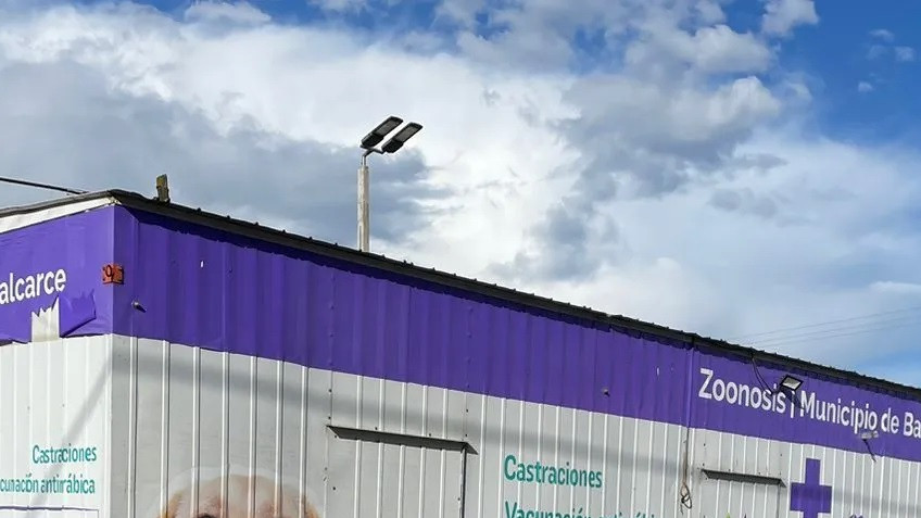 El quirófano móvil de castraciones retorna al ejido urbano