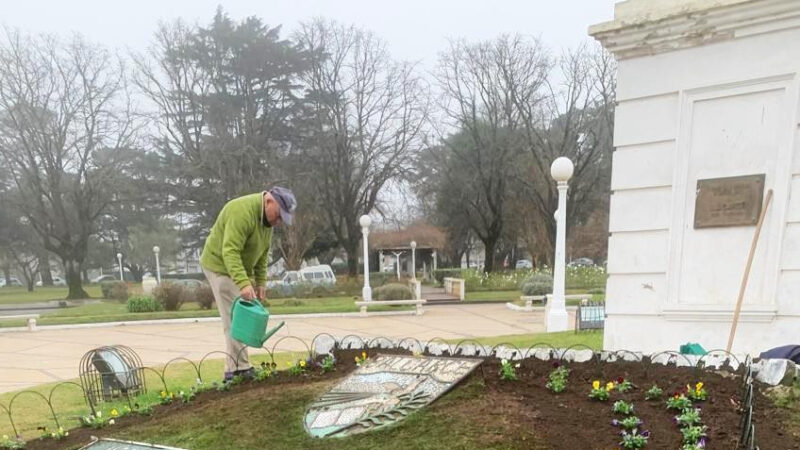 Embellecimiento del calendario en Plaza Libertad