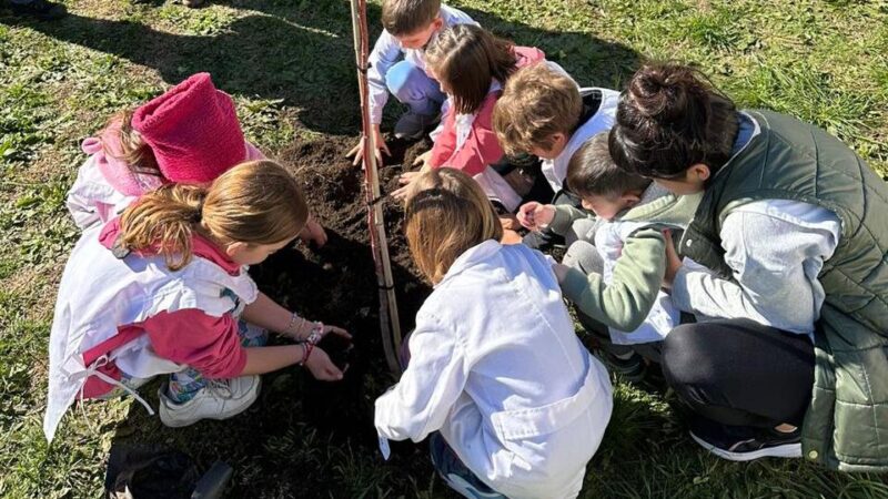 DONACIÓN DE PLANTAS: PROMOVIENDO LA CONCIENCIA AMBIENTAL EN LA ESCUELA PRIMARIA N°3