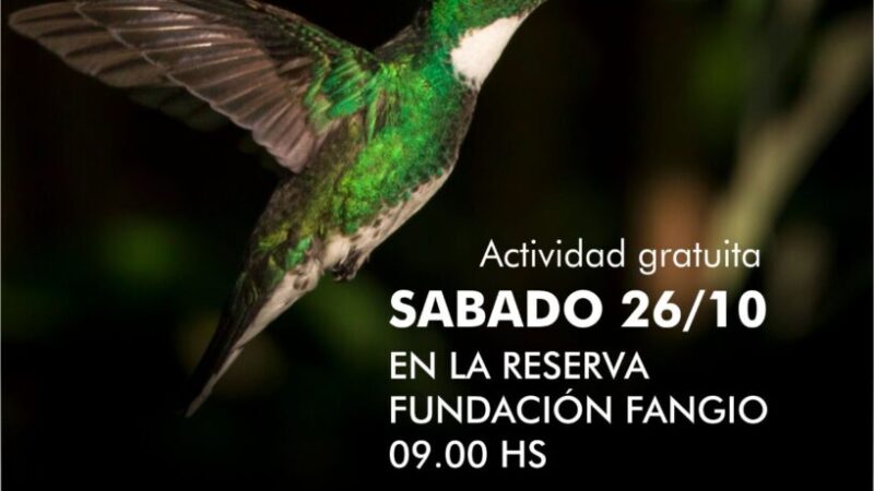 INSCRIPCIÓN AL TALLER DE AVISTAJE DE AVES