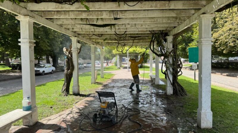 AVANZAN LOS TRABAJOS DE PUESTA EN VALOR EN LAS PÉRGOLAS DE PLAZA LIBERTAD