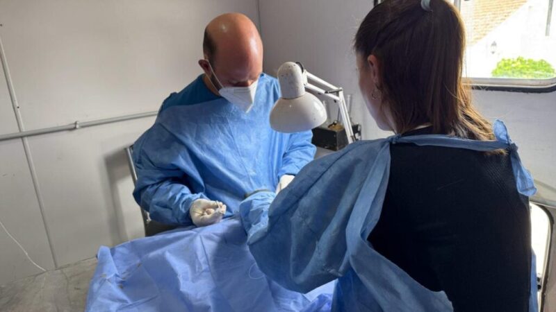 Castraciones: el quirófano móvil se encuentrea en el barrio » El Cruce»