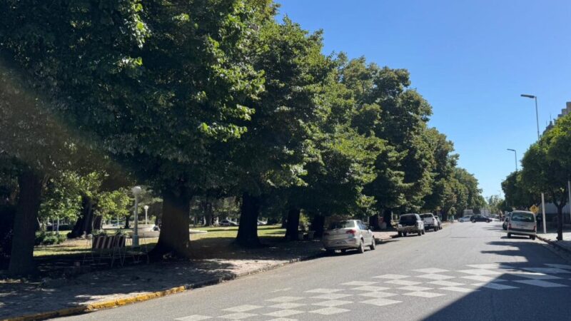 Corte de calles por tareas de poda en plaza Libertad