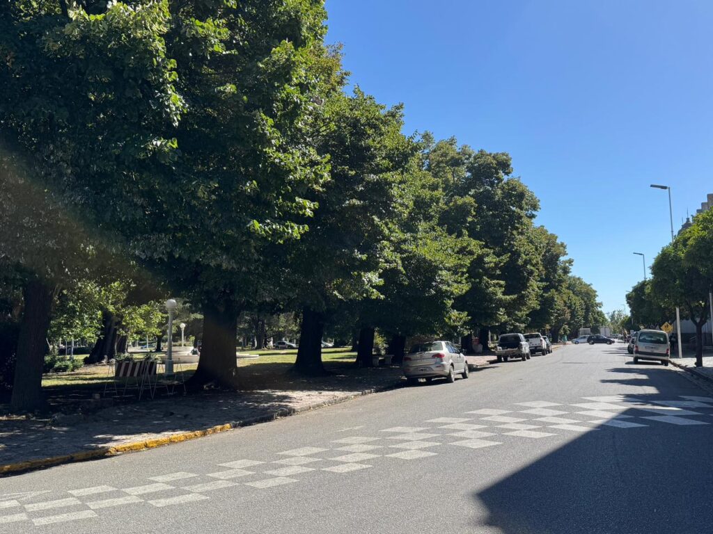 Corte de calles por tareas de poda en plaza Libertad