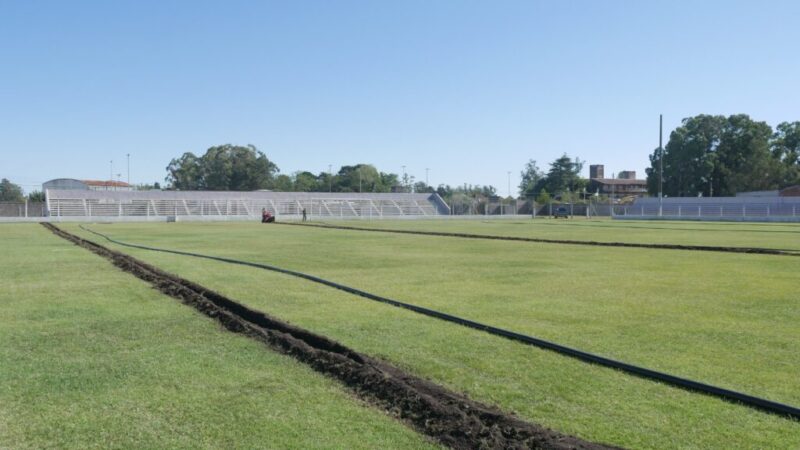 Comenzó colocación de nuevo sistema de riego en el estadio