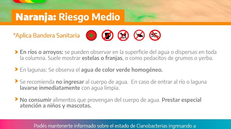 Alerta naranja por cianobacterias
