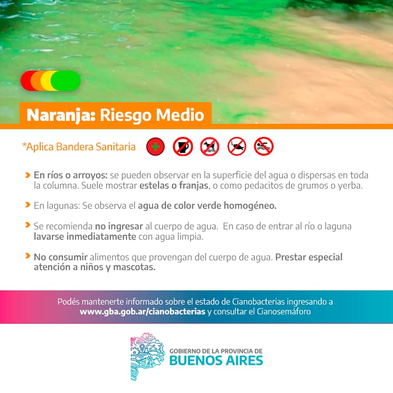 Alerta naranja por cianobacterias