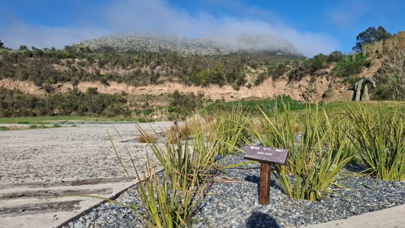 Cartelería identificatoria en el ex pasivo ambiental «La Tosquera»