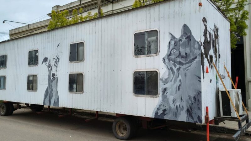 La dirección de juventud retomó el programa Arte Urbano con una intervención en el quirófano de zoonosis