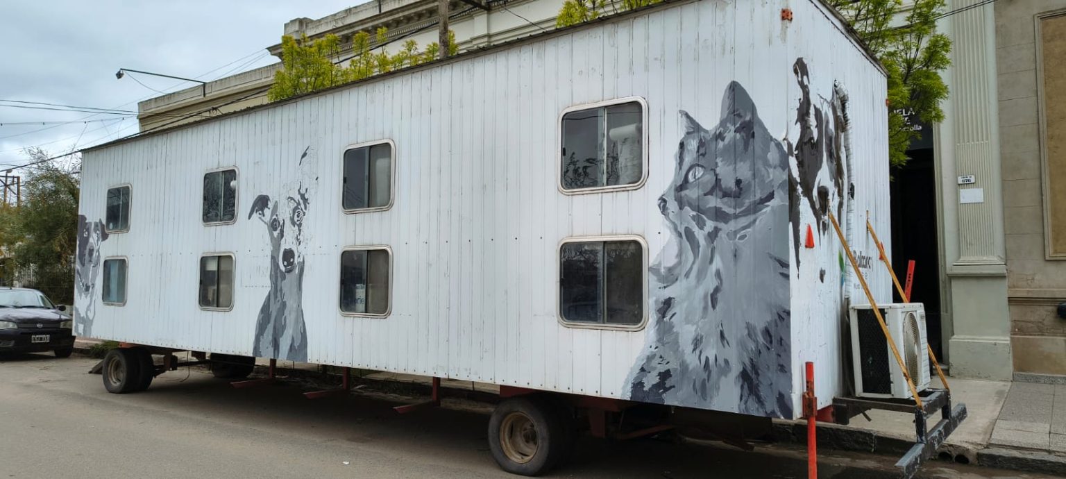La dirección de juventud retomó el programa Arte Urbano con una intervención en el quirófano de zoonosis